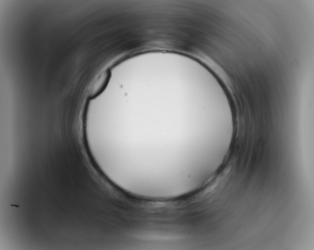 X0000091661341200709201137