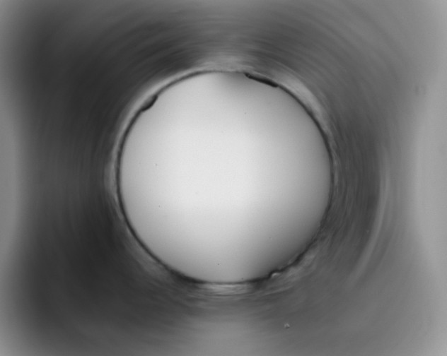 X0000091661344200709201137