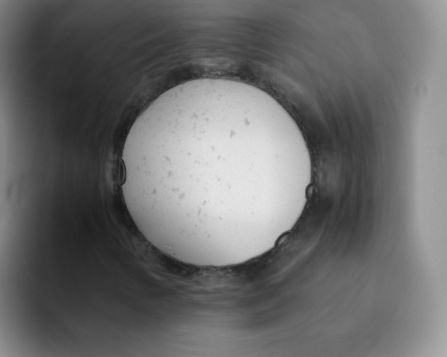 X0000091661346200709201137