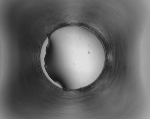 X0000091661348200709201137