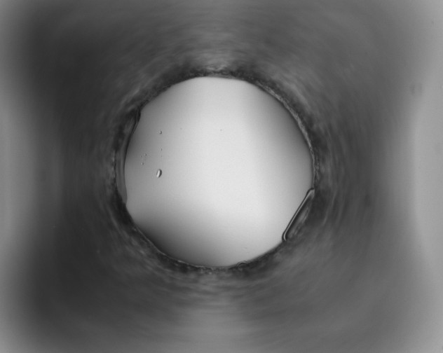 X0000091661349200709201137