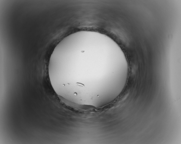 X0000091661350200709201137