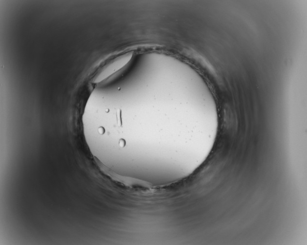 X0000091661352200709201137