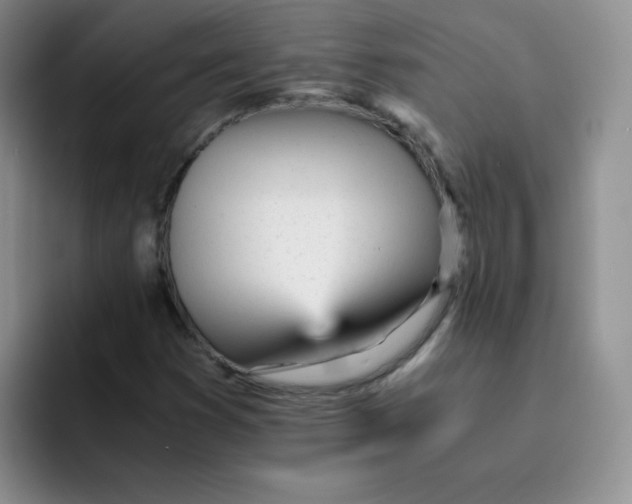 X0000091661353200709201137