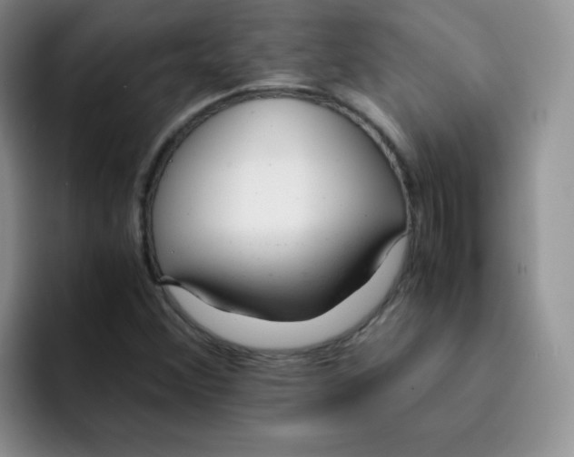 X0000091661356200709201136