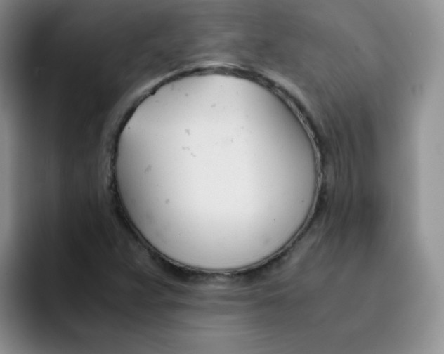 X0000091661359200709201136