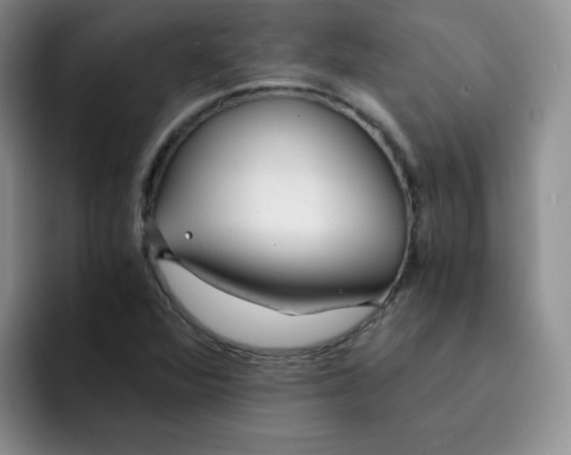 X0000091661360200709201136