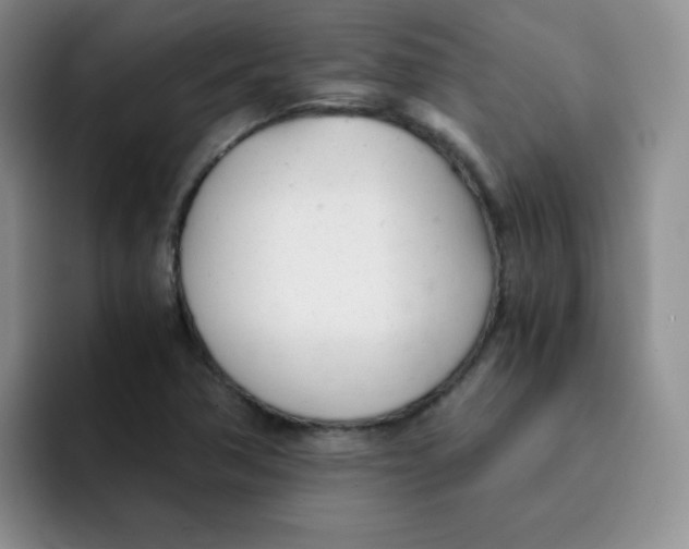 X0000091661362200709201136