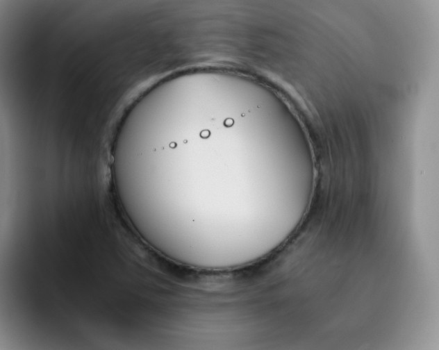 X0000091661363200709201136