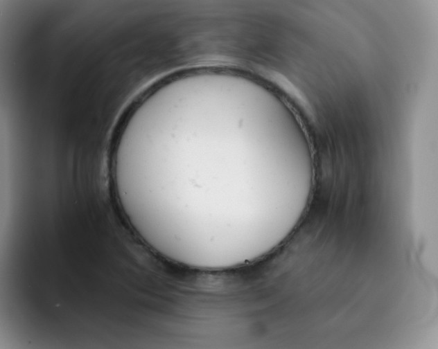 X0000091661364200709201136