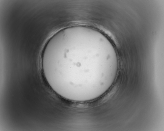 X0000091661365200709201136