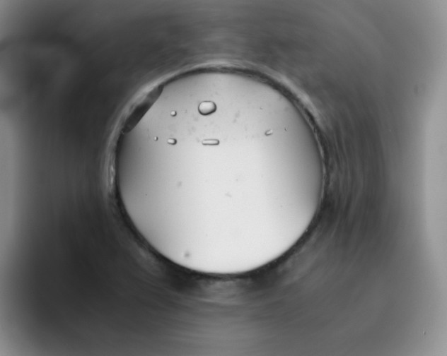 X0000091661367200709201136