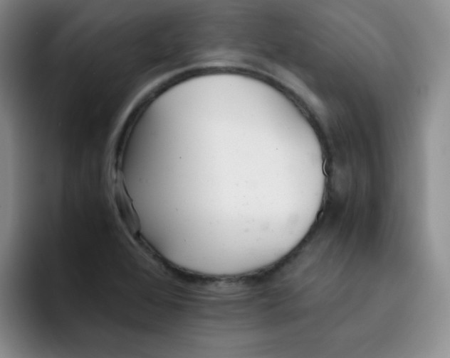 X0000091661368200709201136