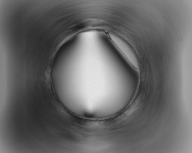 X0000091661369200709201136