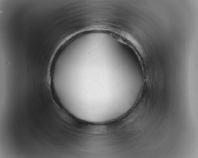 X0000091661372200709201136