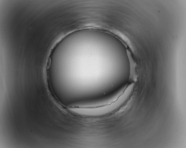 X0000091661373200709201136