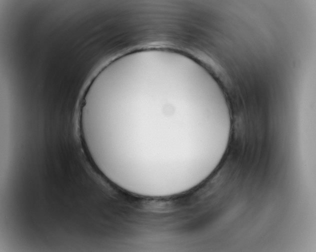 X0000091661374200709201136