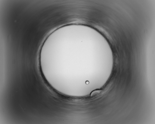 X0000091661375200709201136