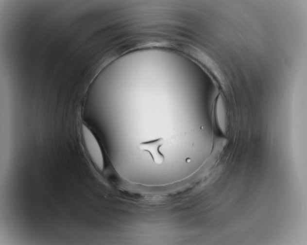 X0000091661377200709201136