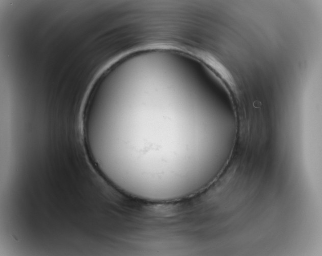 X0000091661380200709201136