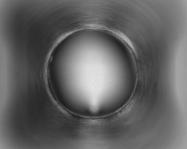 X0000091661381200709201136