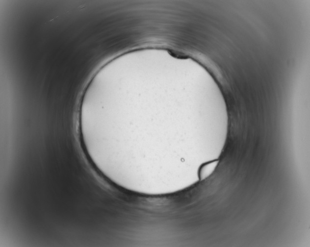 X0000091661383200709201136