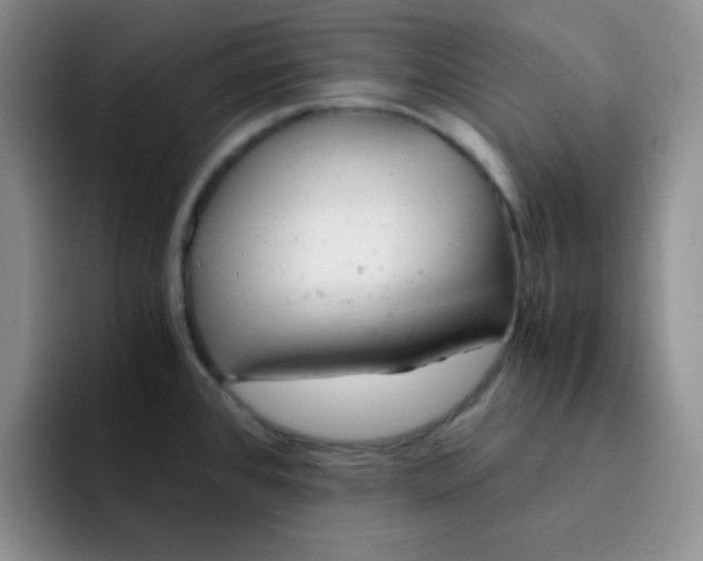 X0000091661384200709201136