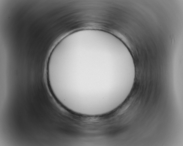 X0000091661387200709201136