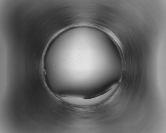 X0000091661388200709201136