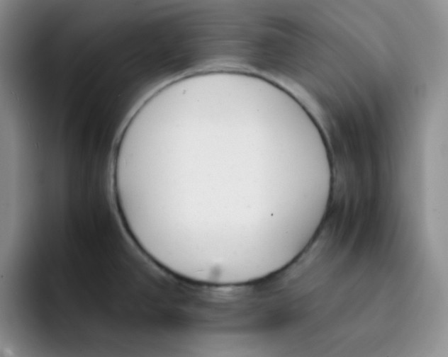 X0000091661390200709201136