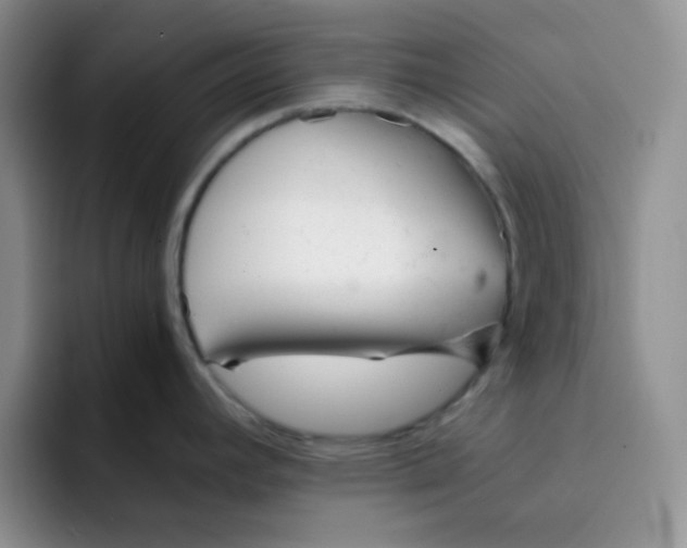 X0000091661392200709201136