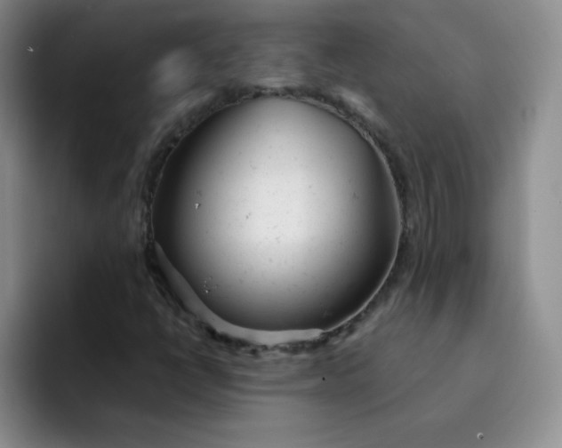 X0000091661398200709201136