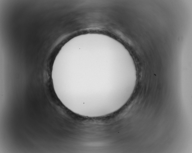 X0000091661400200709201136