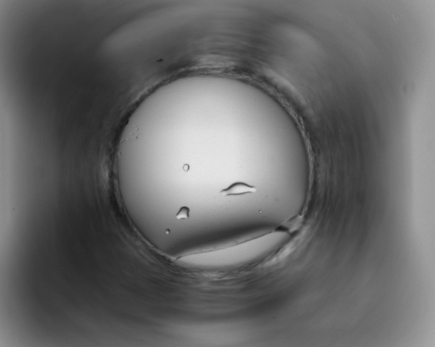 X0000091661401200709201136