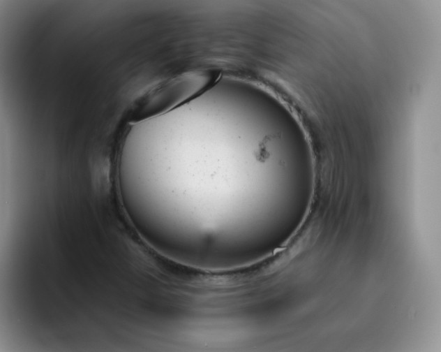 X0000091661402200709201136