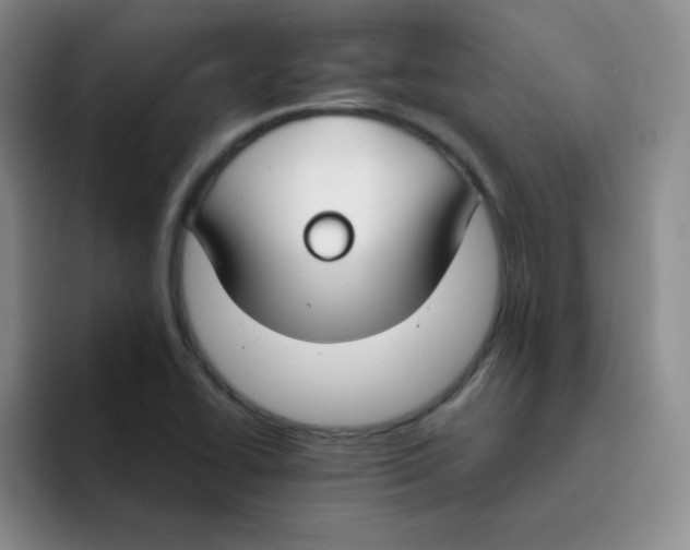 X0000091661414200709201136