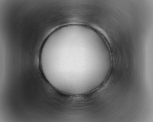 X0000091661415200709201136