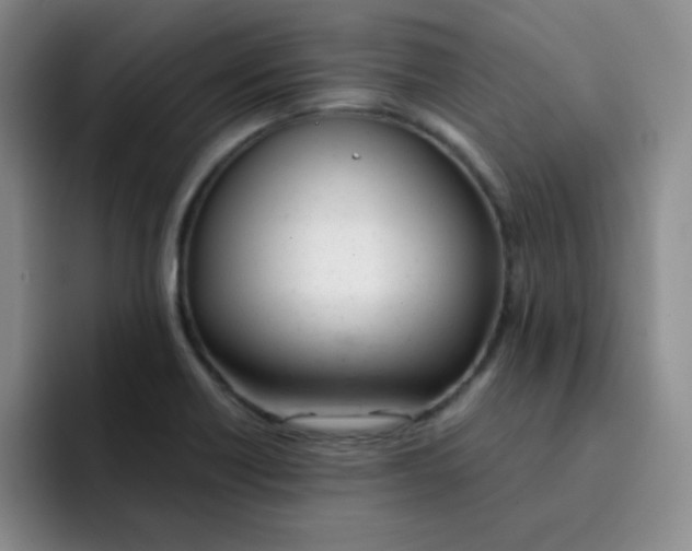 X0000091661418200709201136