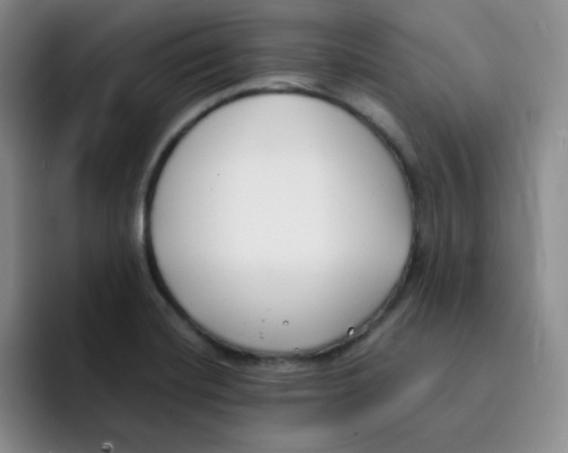 X0000091661420200709201136