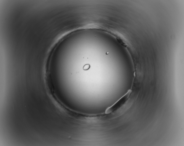 X0000091661422200709201136