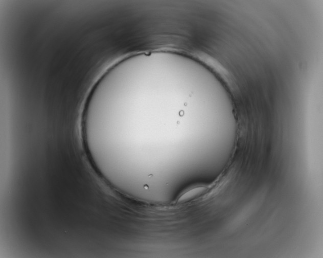 X0000091661423200709201136