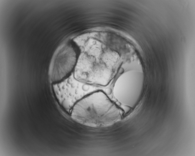 X0000091661425200709201136