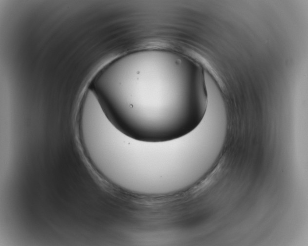 X0000091661426200709201136