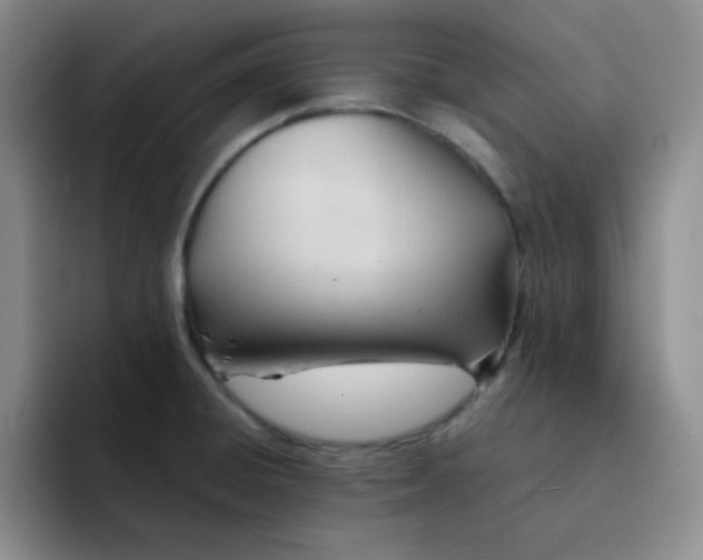 X0000091661428200709201136