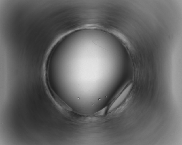 X0000091661430200709201136