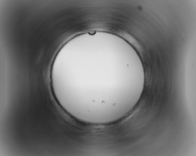 X0000091661431200709201136