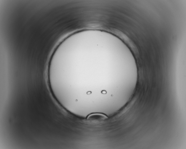 X0000091661432200709201136