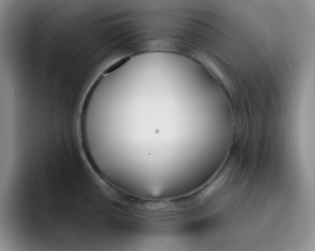 X0000091661434200709201136