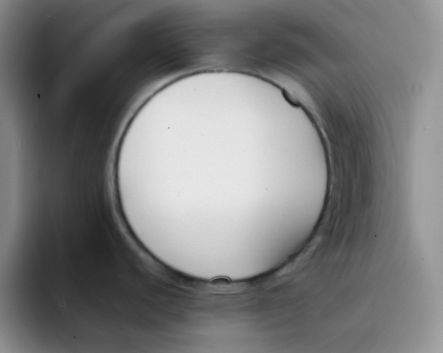 X0000091661440200709201136