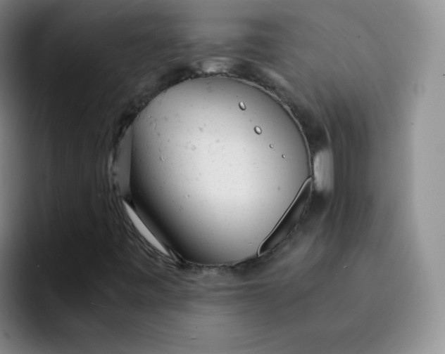 X0000091661443200709201135